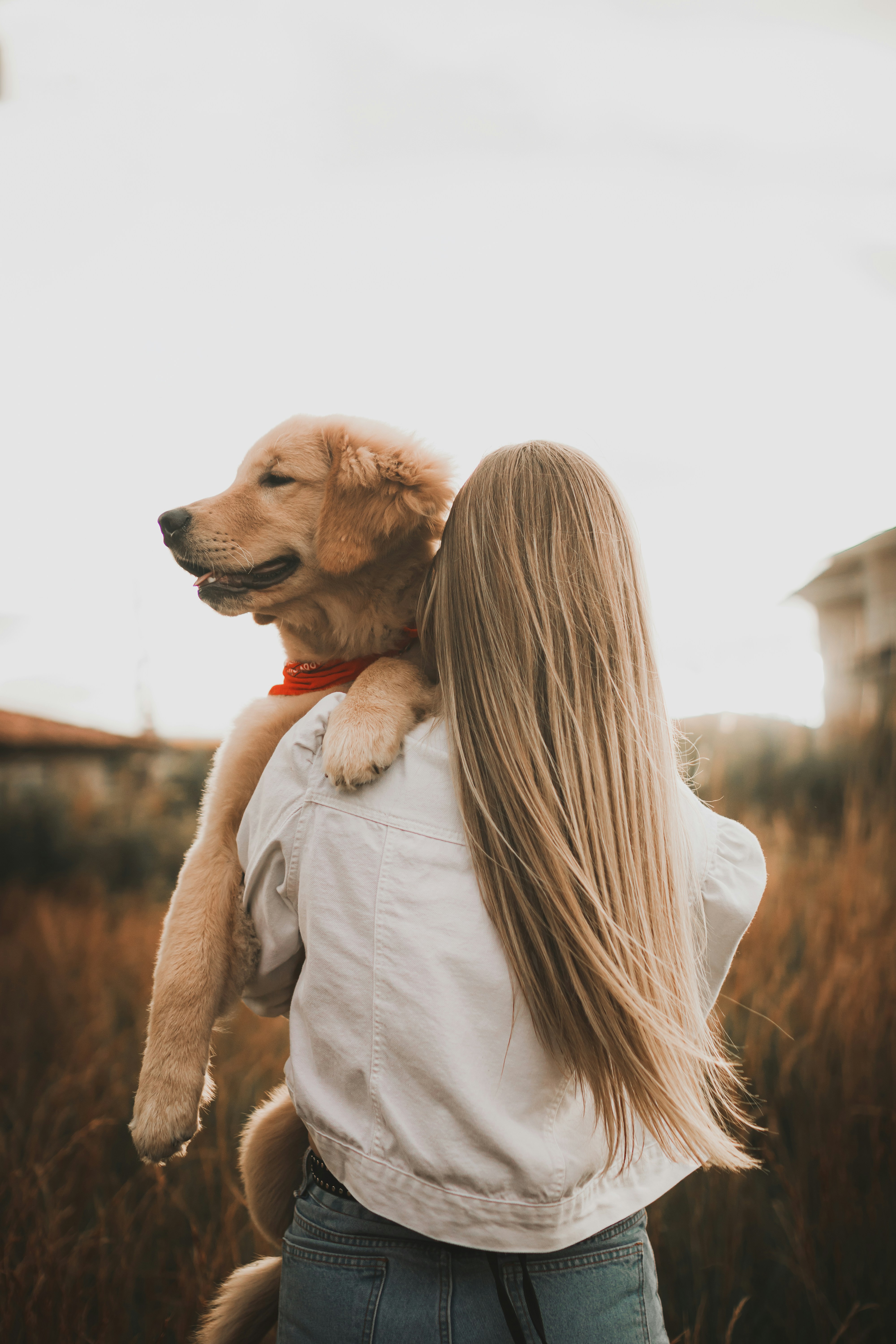 Barney being carried home on a walk